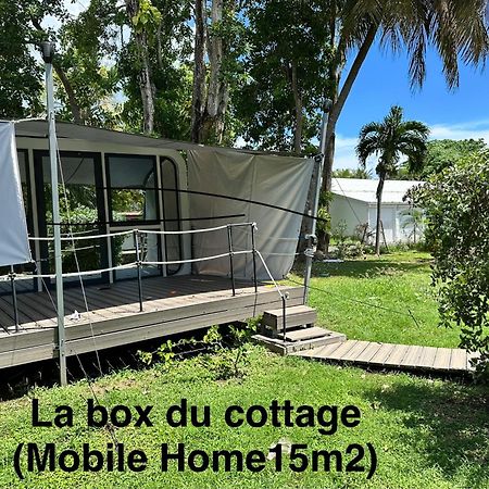 סנט-אן Le Cottage De Castaing Sur Plage Privee מראה חיצוני תמונה