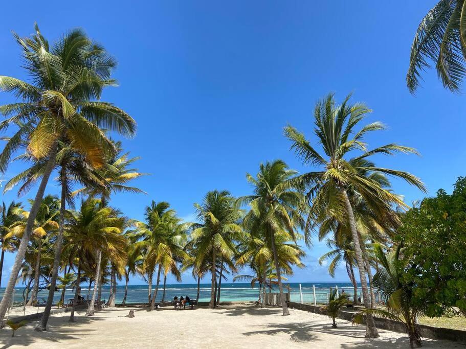 סנט-אן Le Cottage De Castaing Sur Plage Privee מראה חיצוני תמונה